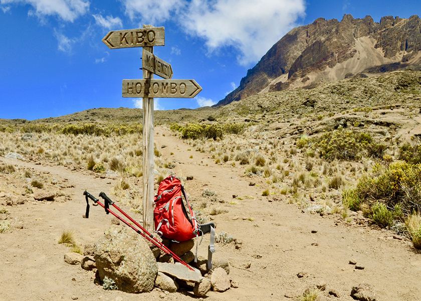 Kilimanjaro Trekking-8 Days Lemosho Route